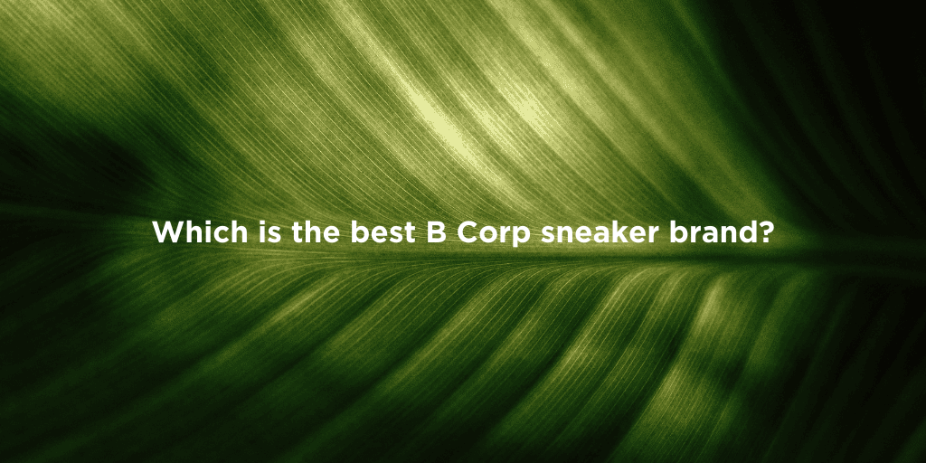 Top Sustainable Sneakers: B Corp Picks