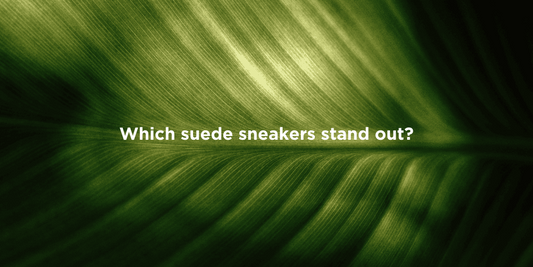 Top Eco-Friendly Suede Sneakers