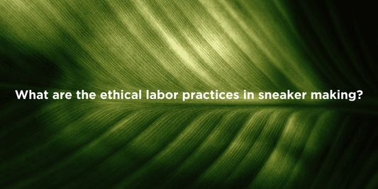 Sustainable Sneakers and Labor Ethics