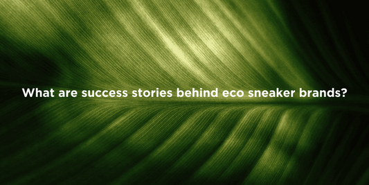 Inspiring Eco Sneaker Brand Journeys