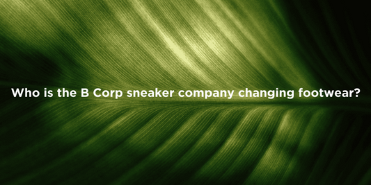 Eco-Friendly Sneakers: The B Corp Impact