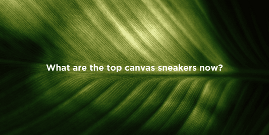 Best Eco-Friendly Canvas Sneakers 2023